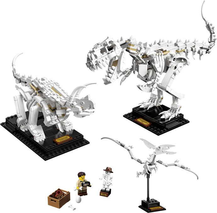 21320 LEGO Dinosaur Fossils CERTIFIED PRE-OWNED product image 3, provided for visual reference and product detail review