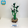 10344 Lucky Bamboo (U) product image 1, provided for visual reference and product detail review