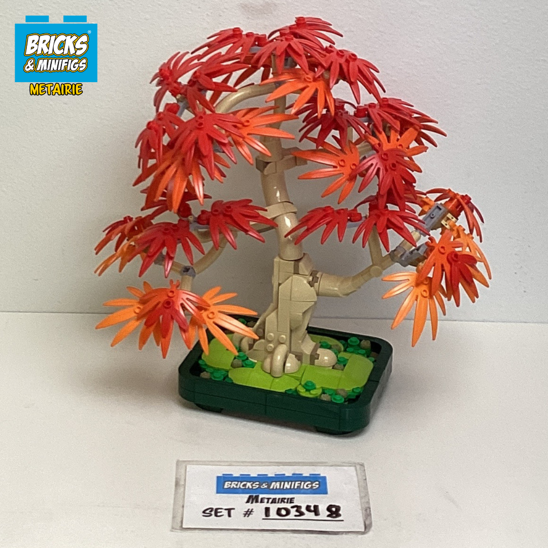 10348 Japanese Maple Tree (U) product image 1, provided for visual reference and product detail review