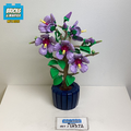 10372 Hibiscus (U) product image 1, provided for visual reference and product detail review