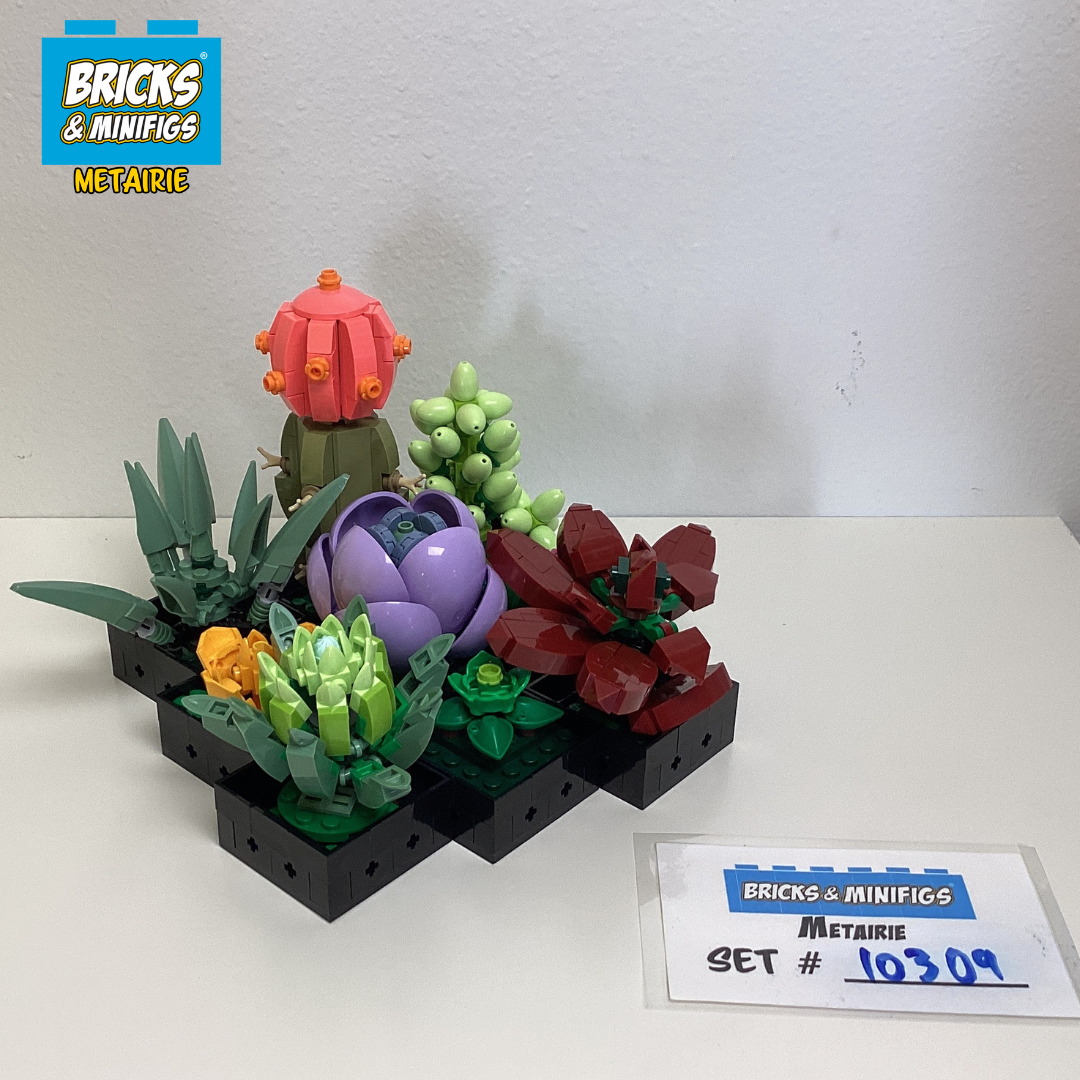 10309 Succulents (U) product image 1, provided for visual reference and product detail review