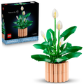 11504 Peace Lily product image 1, provided for visual reference and product detail review