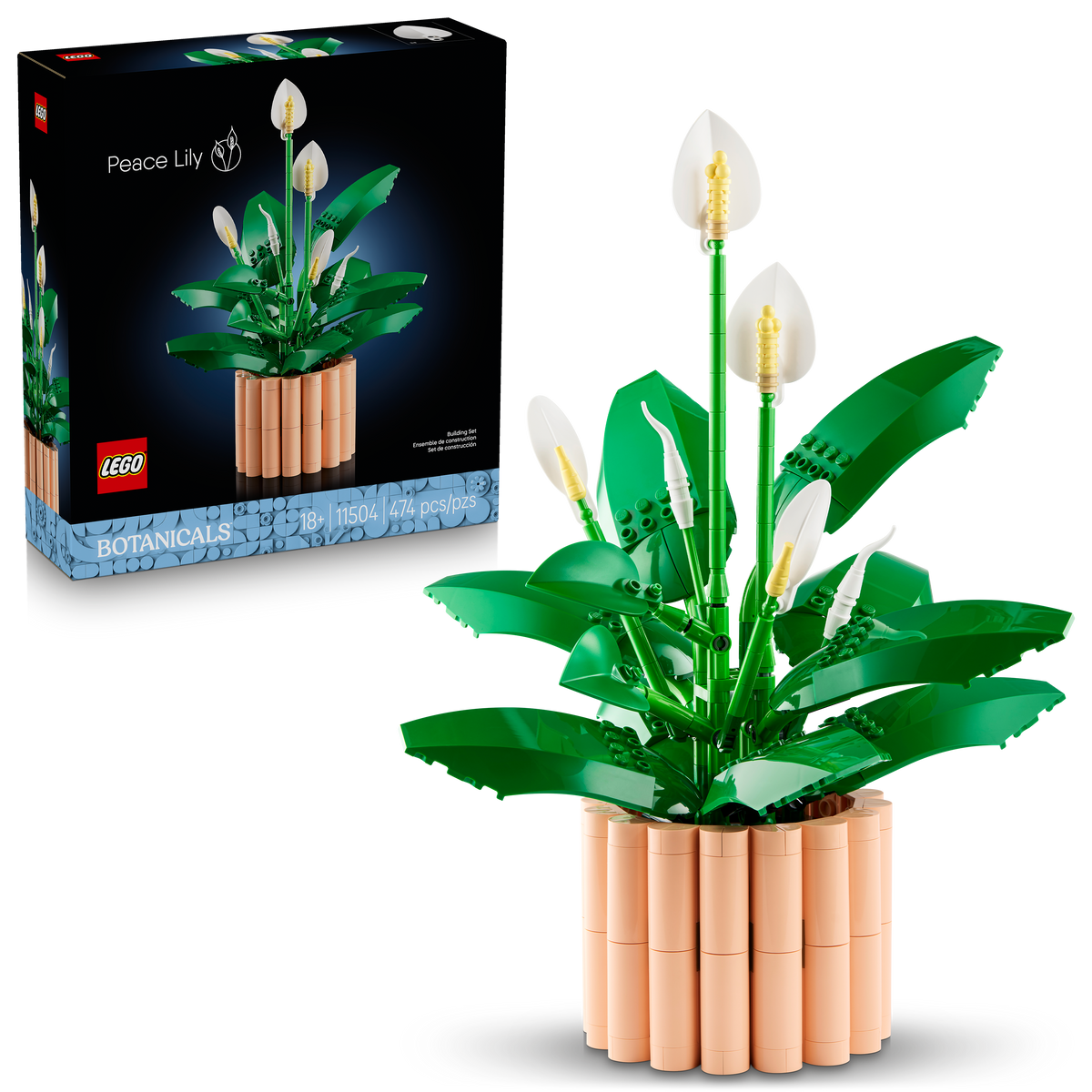 11504 Peace Lily product image 1, provided for visual reference and product detail review