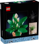 11504 Peace Lily product image 2, provided for visual reference and product detail review