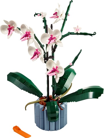 10311 Orchid PRE-OWNED CERTIFIED product image 1, provided for visual reference and product detail review