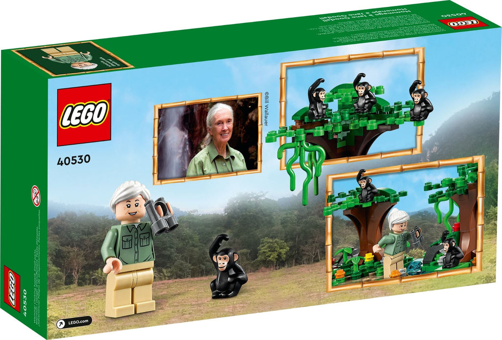 40530 LEGO Jane Goodall Tribute product image 2, provided for visual reference and product detail review
