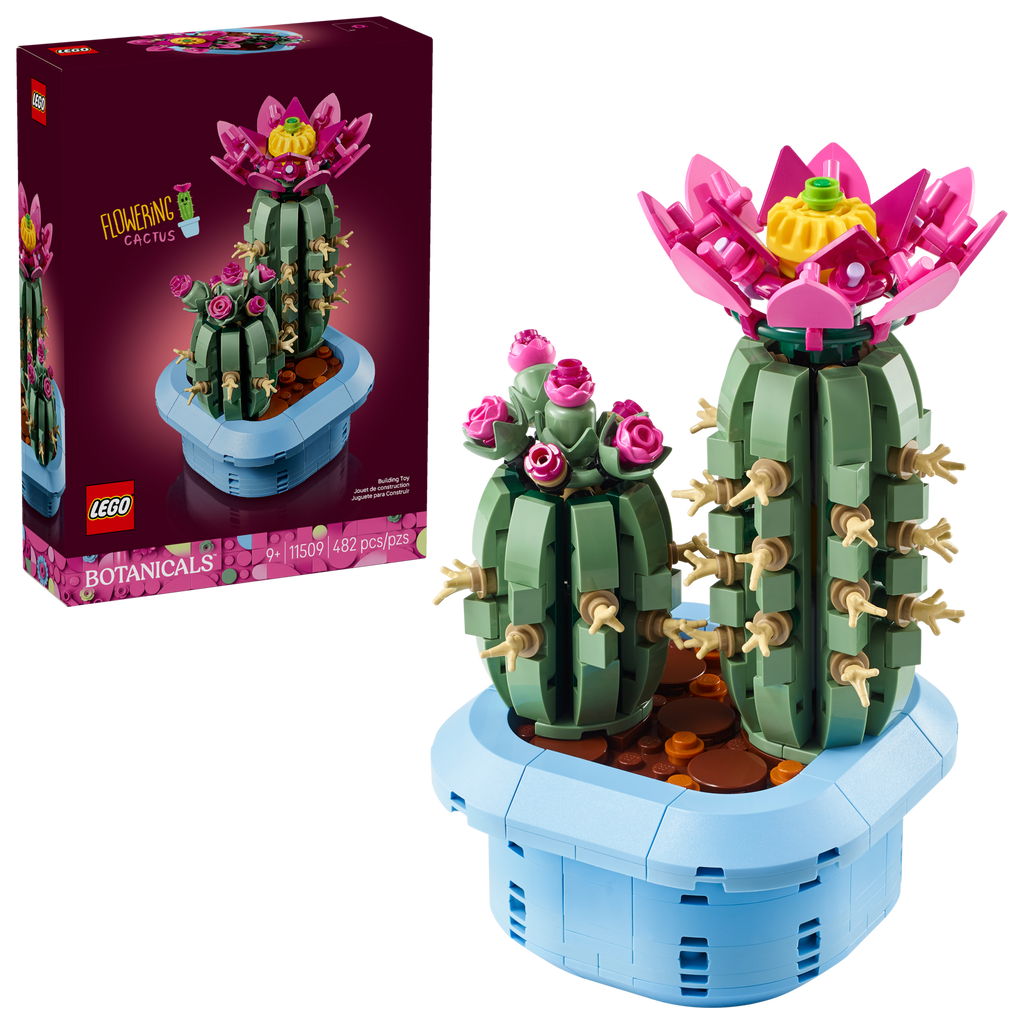 11509 Flowering Cactus product image 1, provided for visual reference and product detail review