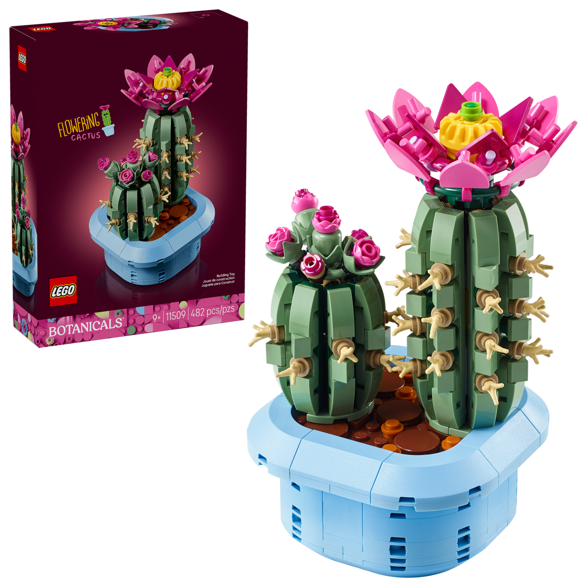 11509 Flowering Cactus product image 1, provided for visual reference and product detail review