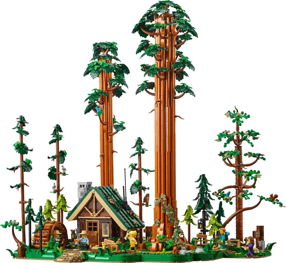 910058 (BL) Sequoia Tree Trail product image 2, provided for visual reference and product detail review