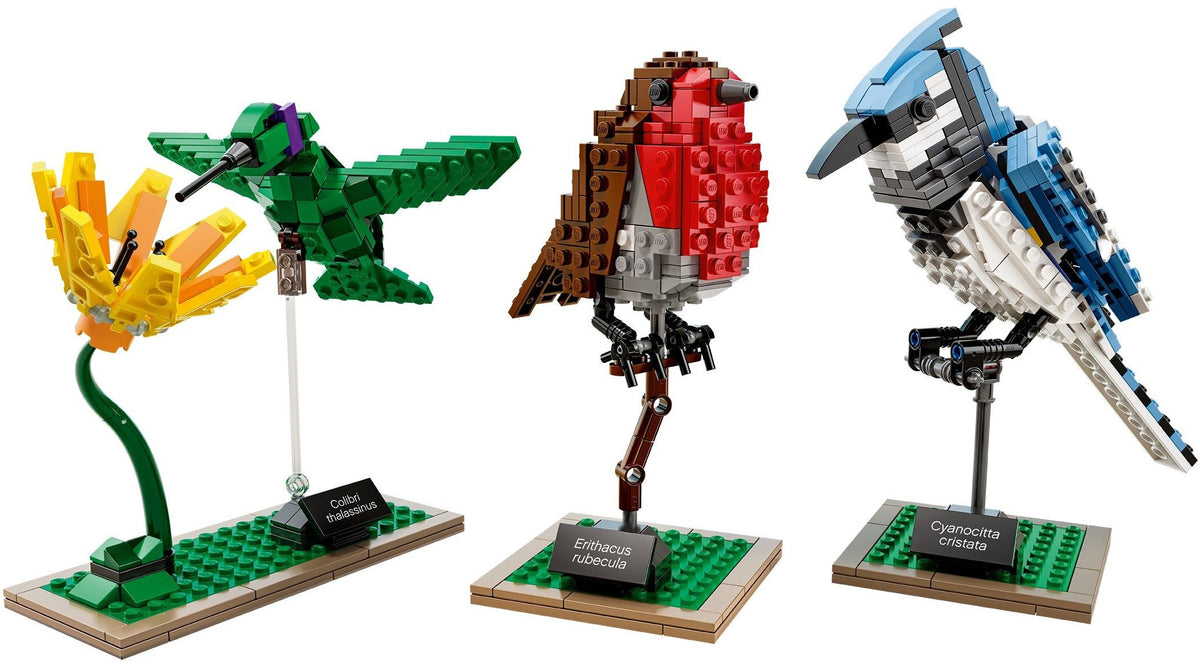 21301 Birds product image 4, provided for visual reference and product detail review