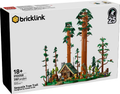 910058 (BL) Sequoia Tree Trail product image 1, provided for visual reference and product detail review