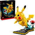 72152 Pikachu and Poké Ball product image 1, provided for visual reference and product detail review