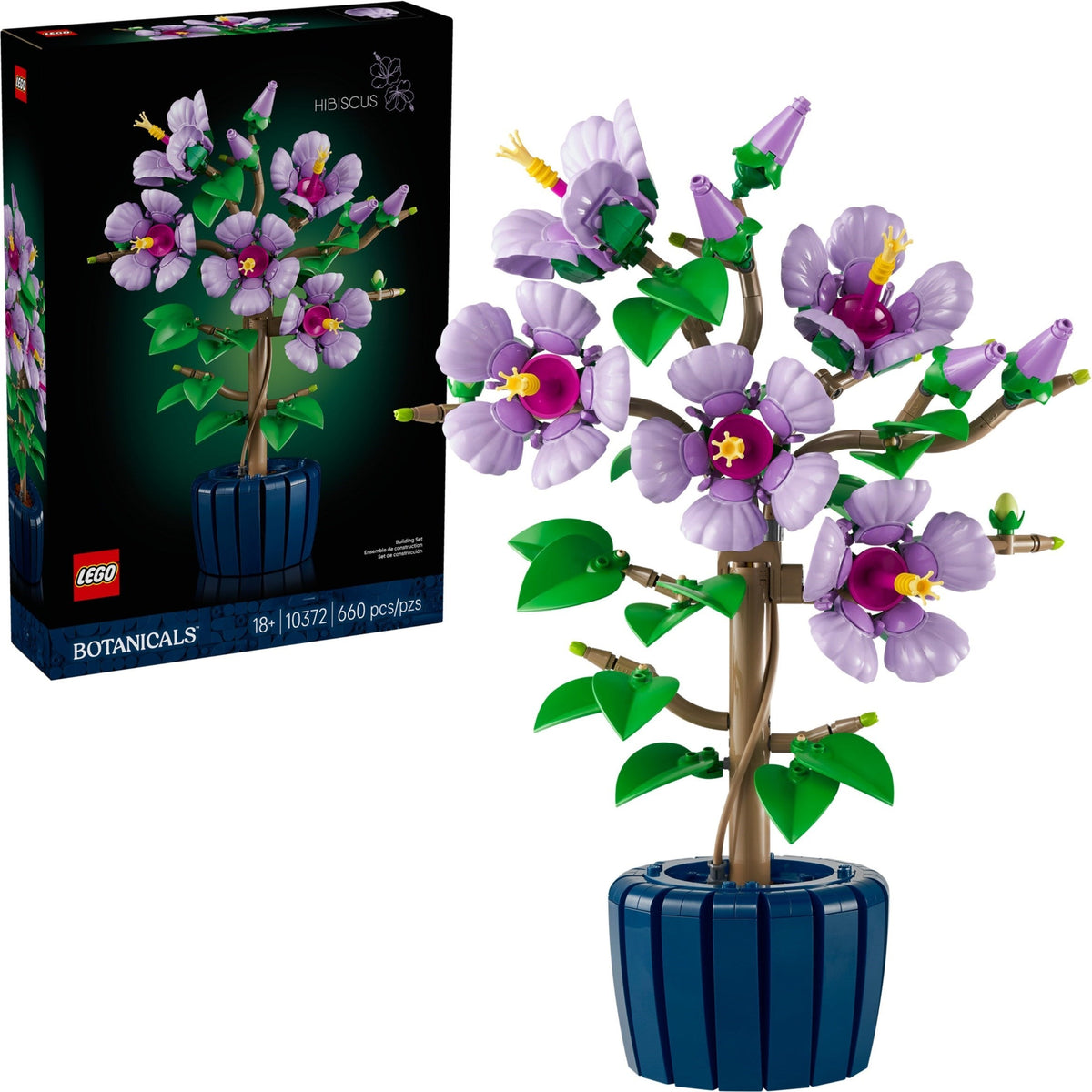 10372 Hibiscus product image 1, provided for visual reference and product detail review