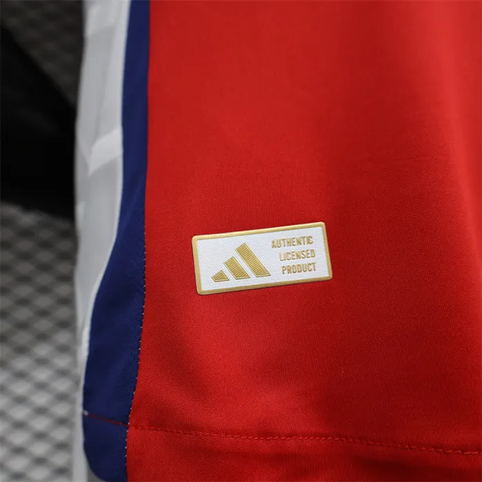 Player Version Arsenal Home Kit 24/25 Football Jersey product image 10