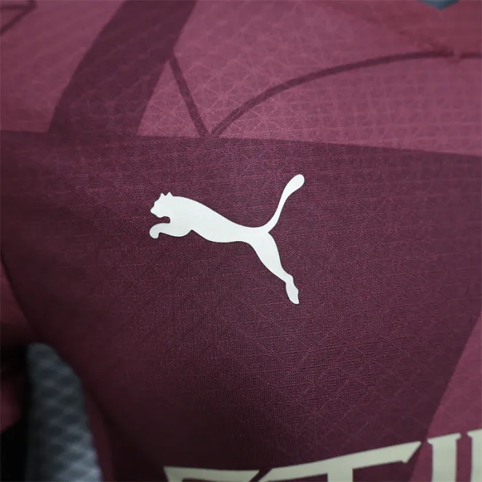 Player Version Manchester City Third Jersey 24/25 Football product image 4