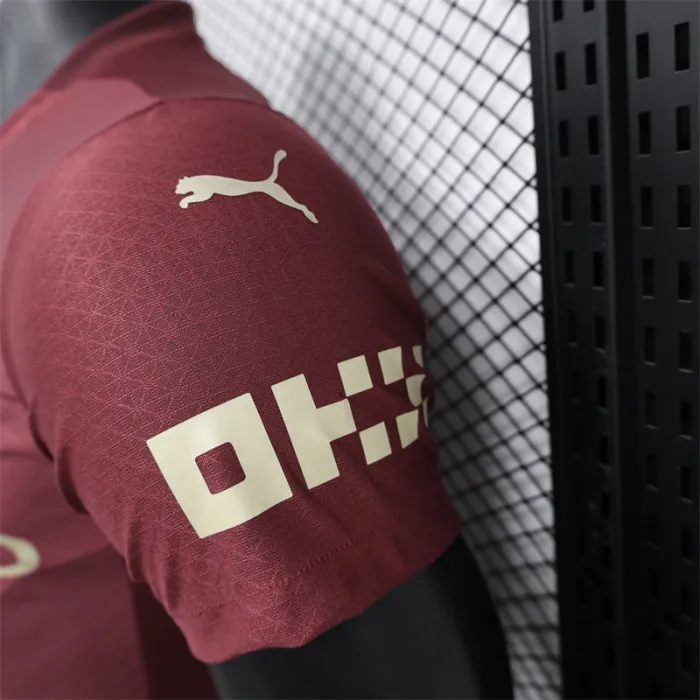 Player Version Manchester City Third Jersey 24/25 Football product image 5