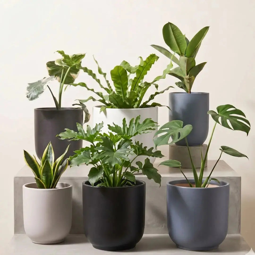 Modern Ceramic Plain Coloured Flower Pot