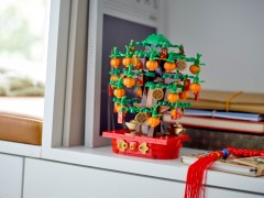 40648 Money Tree product image 2, provided for visual reference and product detail review