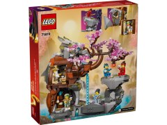 71819 LEGO Dragon Stone Shrine product image 2, provided for visual reference and product detail review